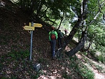 .....poi rientriamo definitivamente nel bosco : sdas16